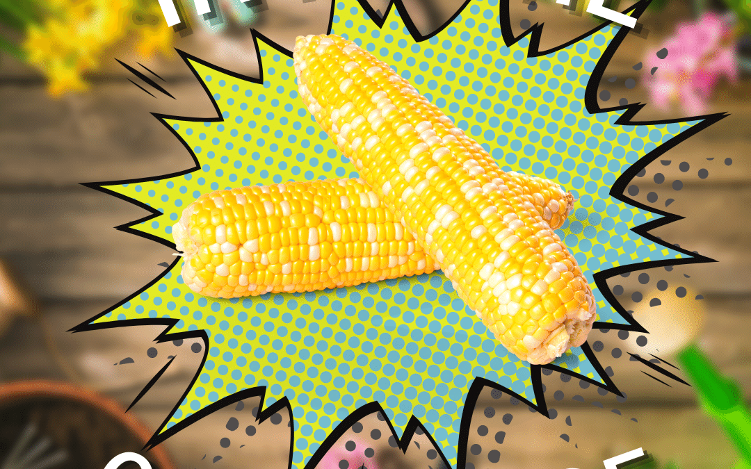 corn on the cob with a comic book style